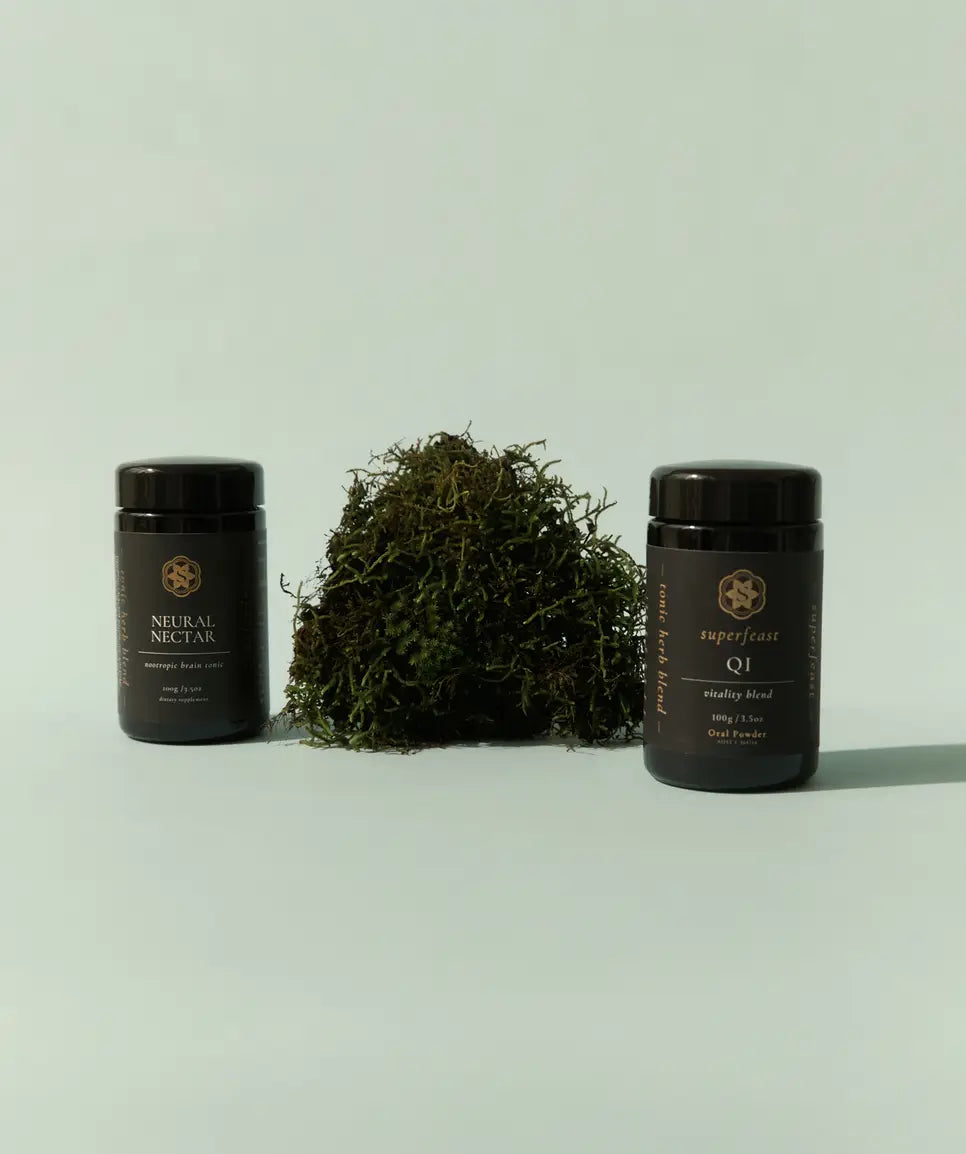 SuperFeast Brain Gains Bundle