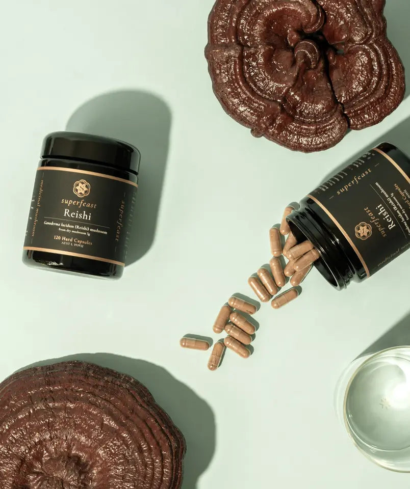 superfeast reishi capsules
