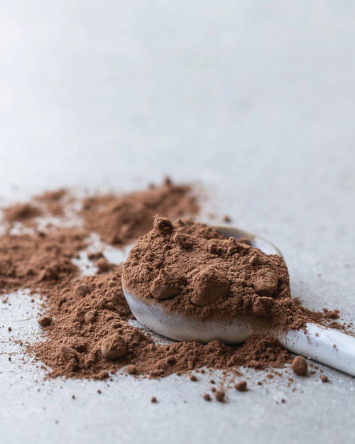 Cacao GOLD Powder 450g